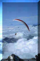 paradis2.JPG (36080 octets)